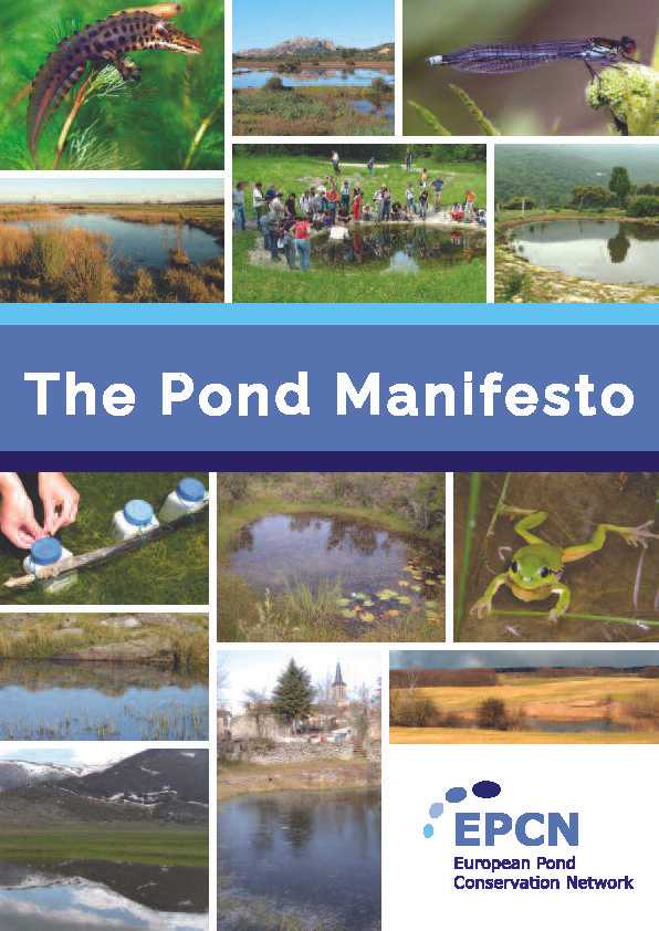 pond manifesto